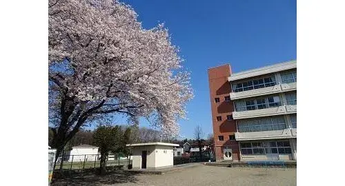 3LDK+S物件 宇都宮市 栃木県 (22)