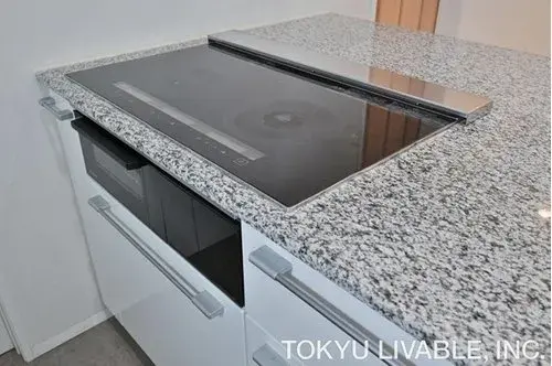 Propiedad 3LDK+2S Ciudad de Katano Prefectura de Osaka (11)