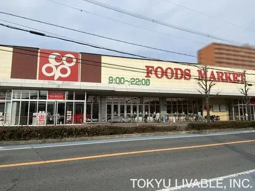 2LDK Property Higashiosaka City Osaka Prefecture (17)