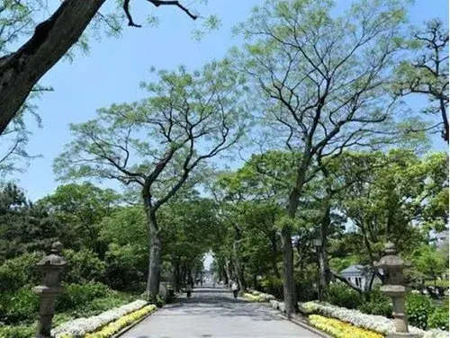 8LDK Property Sumiyoshi Ward Osaka City Osaka Prefecture (27)