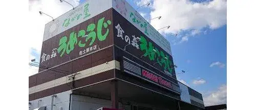 4LDK Miyazaki City Miyazaki Prefecture (9)