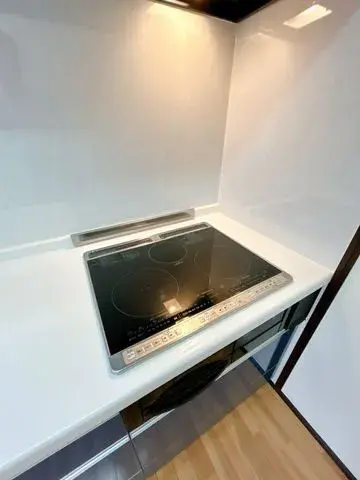 2LDK Property Akita City Akita Prefecture (18)