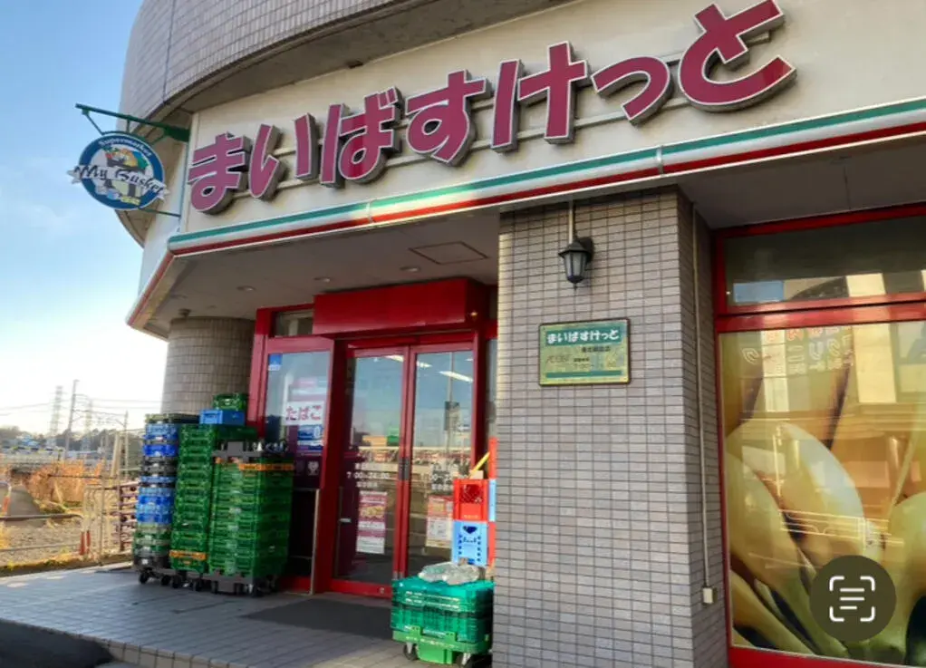3LDK Yokohama City Kanagawa Prefecture (21)