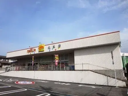 4LDK Property Okazaki City Aichi Prefecture (21)