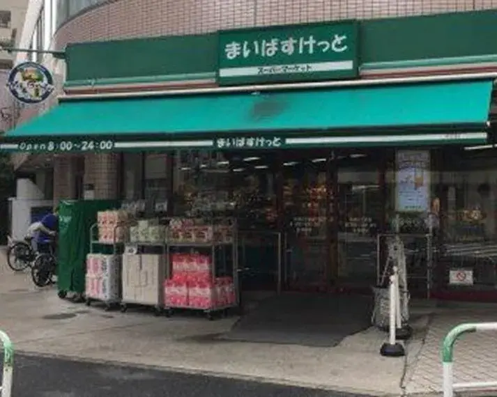 3LDK Property Toshima Ward Tokyo (12)