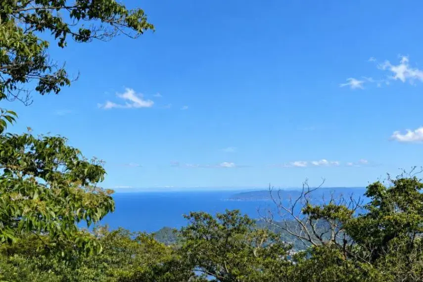 2LDK+Солнечная комната, город Atami, префектура Shizuoka (12)
