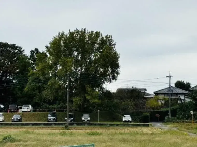 Propiedad 3SLDK Ciudad de Fukaya Saitama (8)