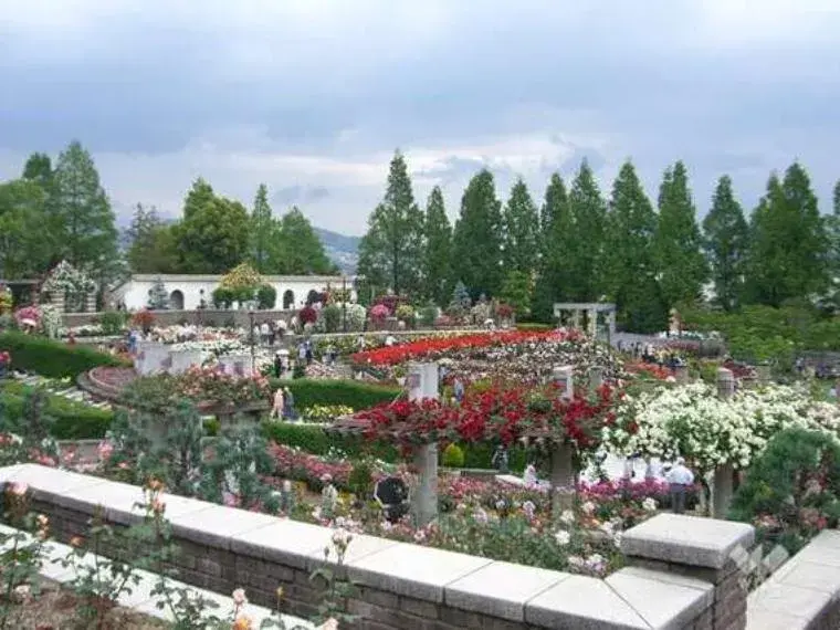 عقار 3DK مدينة Itami محافظة Hyogo (16)