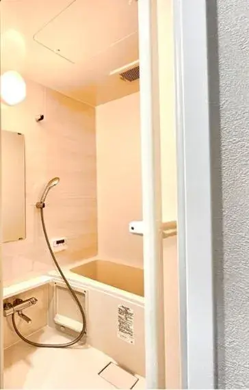 2DK Property Koto-ku Tokyo (13)