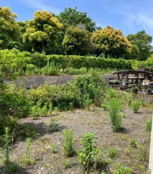 3SLDK户型房产 丰桥市 爱知县 (5)