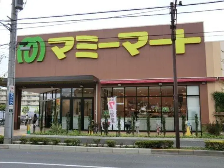 2LDK Adachi-ku Tokyo (14)