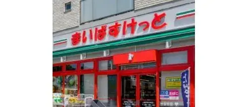 4LDK Matsudo City Chiba Prefecture Property (19)