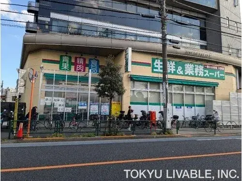 2LDK+S Nakano-ku Tokyo (13)