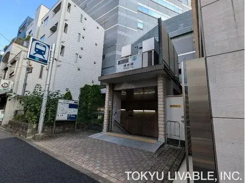 2LDK+S Nakano-ku Tokyo (6)