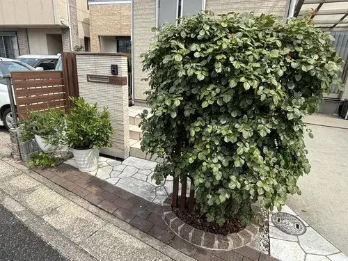 4LDK Property Nishi-ku, Nagoya City, Aichi Prefecture (5)