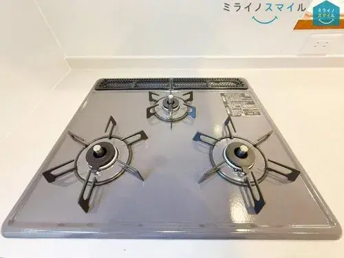 4LDK+S Chikusa Ward, Nagoya City Aichi Prefecture (34)