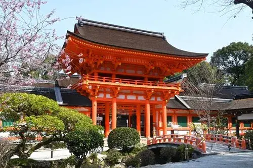 3LDK+S物件 京都市北区 京都府 (19)