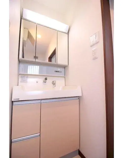 3LDK Property Neyagawa City Osaka Prefecture (15)