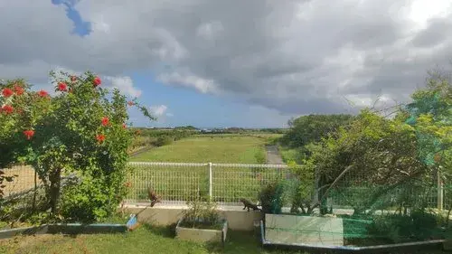 عقار 3LDK مدينة Nanjo محافظة Okinawa (24)
