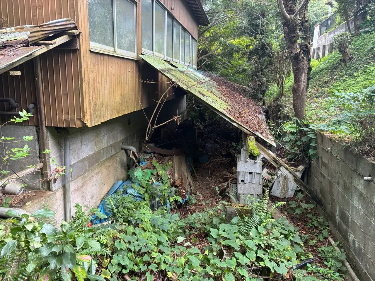 6K 稲敷市 茨城県 (2)