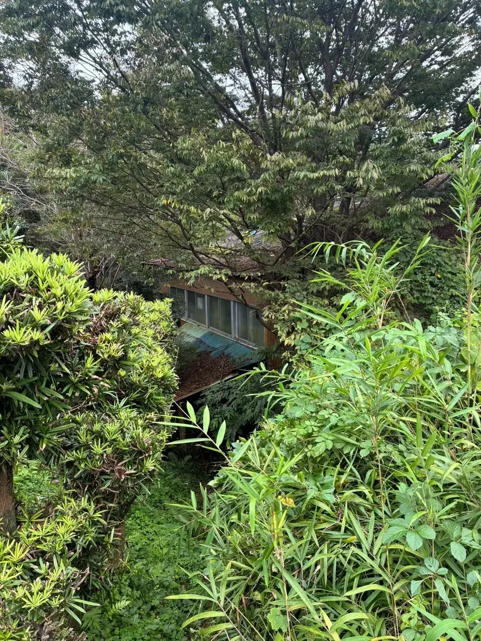 6K 稲敷市 茨城県 (13)