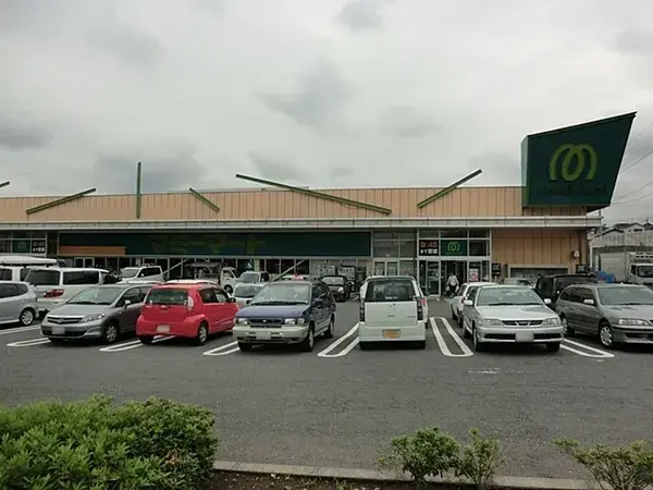 3LDK Kashiwa City Chiba Prefecture (5)