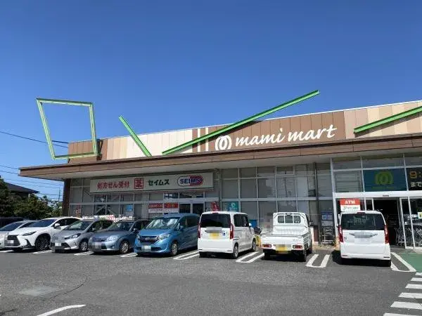 3LDK Kashiwa City Chiba Prefecture (6)