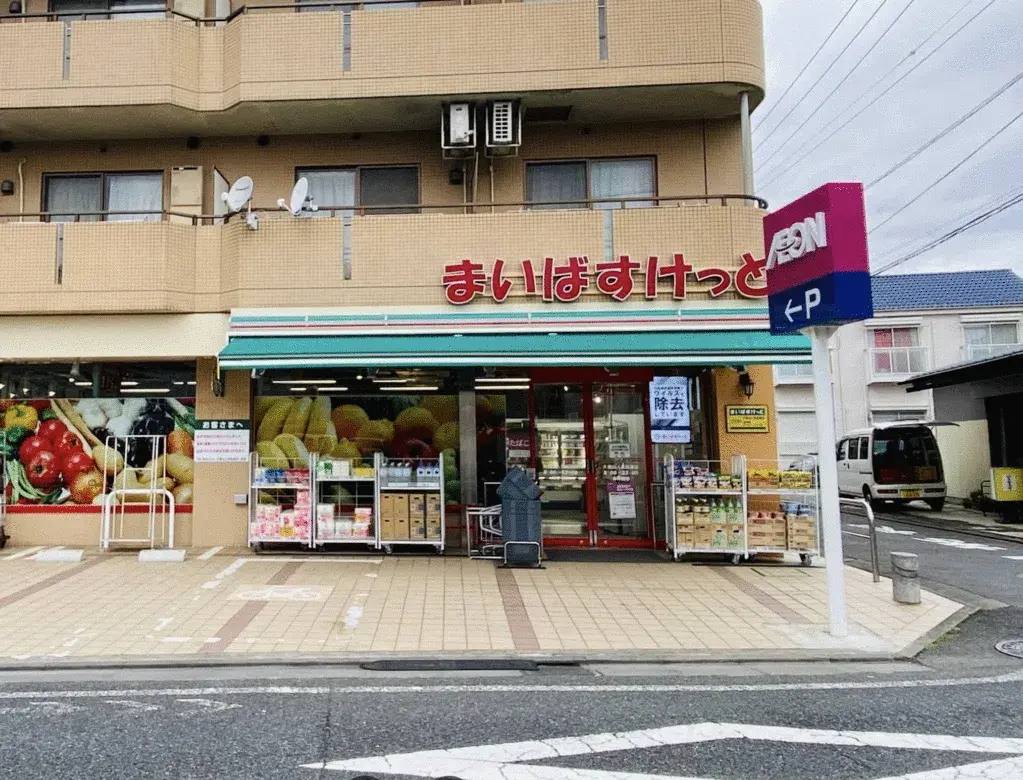 3LDK Property Suginami-ku Tokyo (16)