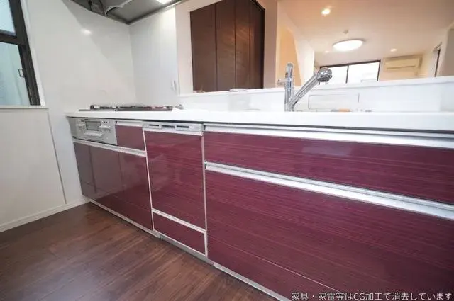 3LDK Property Suginami-ku Tokyo (13)