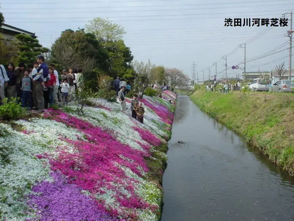3SLDK Property Isehara City Kanagawa Prefecture (12)