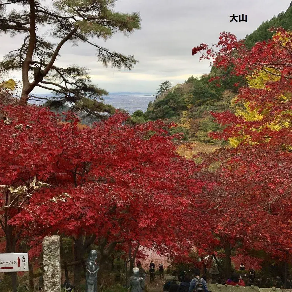 3SLDK Property Isehara City Kanagawa Prefecture (4)