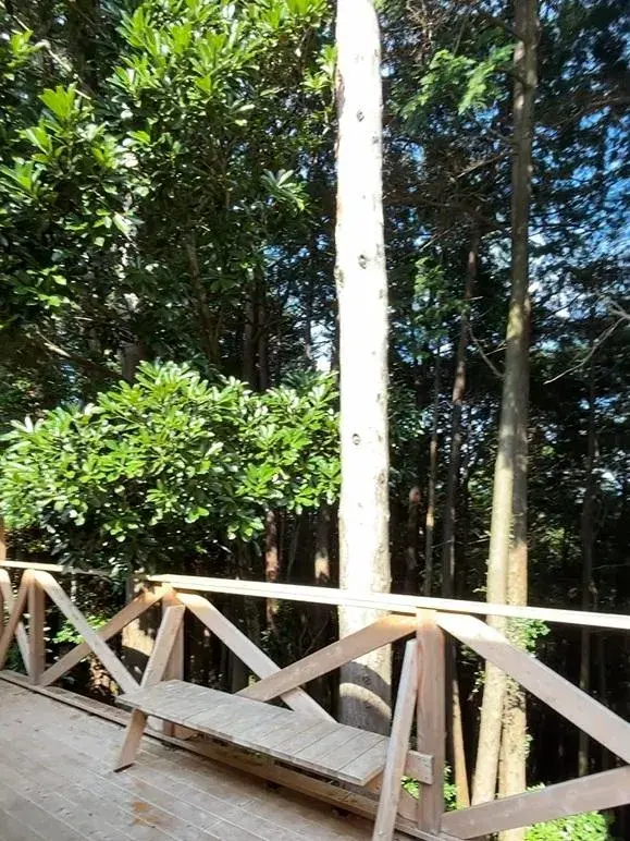 1LDK Ciudad de Ito Prefectura de Shizuoka (19)