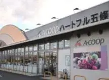 2LDK Gojo City Nara Prefecture (9)