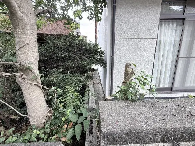 6DK Property Mihara City Hiroshima Prefecture (15)