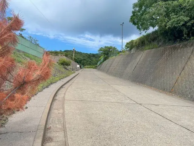 5SDK房产 鹿儿岛市 鹿儿岛县 (5)