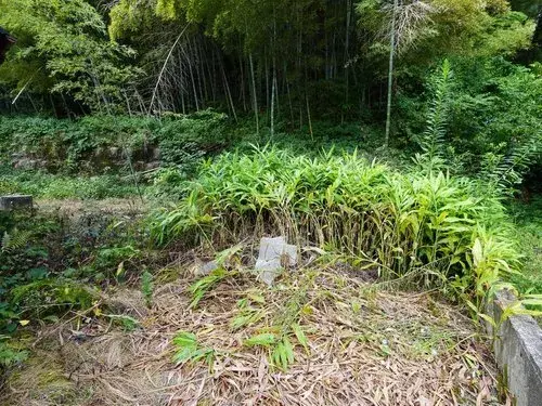 9DK+S 鶴岡市 山形県 (4)