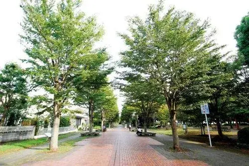 4LDK Property Chiba City Chiba Prefecture (26)