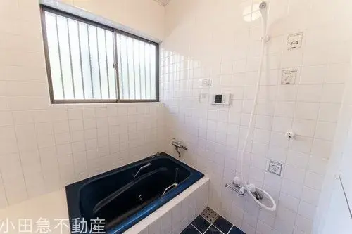 3LDK+2S Property Setagaya-ku Tokyo (19)