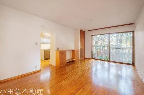 3LDK+2S Property Setagaya-ku Tokyo (6)