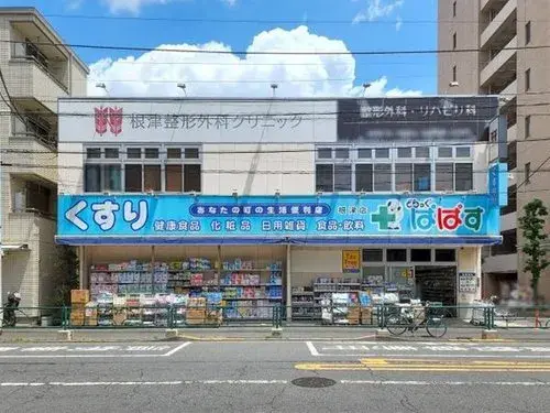 4DK Property Bunkyo Ward Tokyo (18)