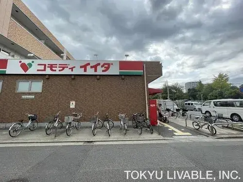 3K Property Edogawa Ward Tokyo (11)