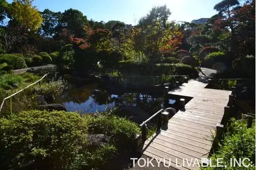 3K Property Edogawa Ward Tokyo (16)