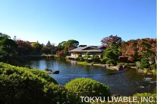3K Property Edogawa Ward Tokyo (4)