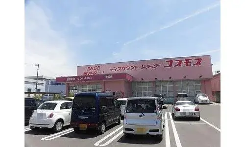 5LDK Property Kochi City Kochi Prefecture (22)