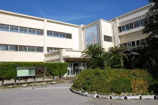 عقار 4DK مدينة تاتياما محافظة تشيبا (19)