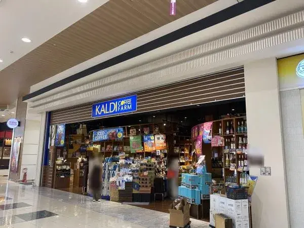 3LDK Property Hinode-machi Tokyo (13)