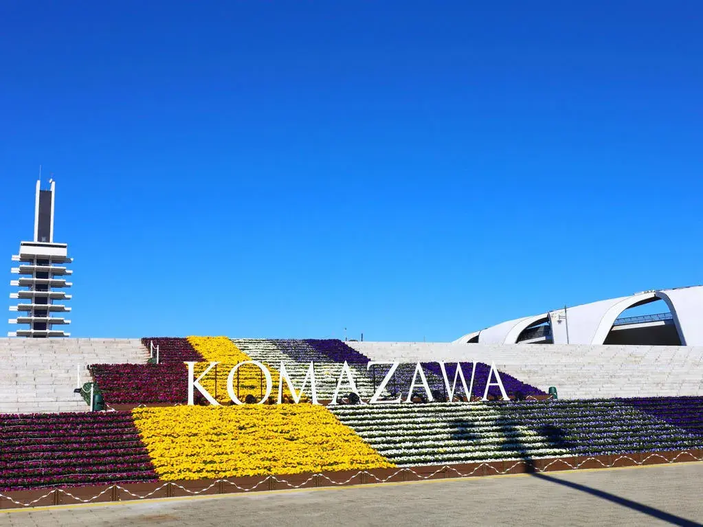 2SLDK物件 世田谷区 東京都 (11)