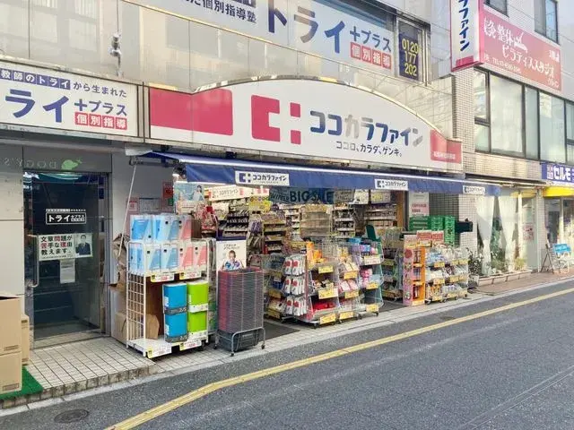 2SLDK Setagaya-ku Tokio (20)