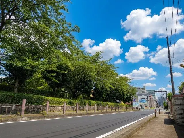 5LDK Property Sagamihara Kanagawa (25)