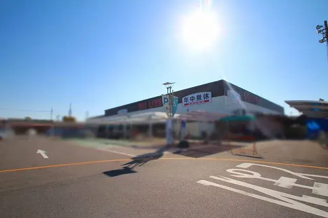 4SLDK Property Komaki City Aichi Prefecture (14)